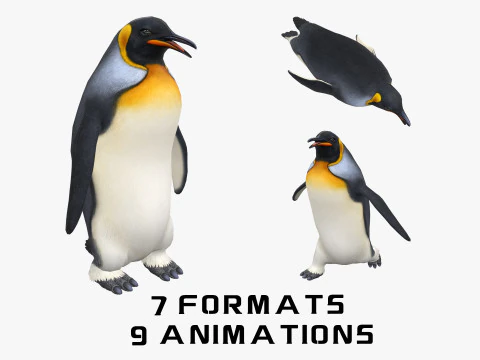 Pinguino animato Modello 3D
