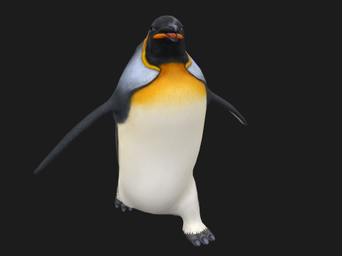 Animated penguin 3D Model