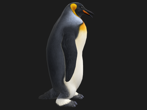 Animated penguin 3D Model
