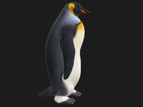 Animated penguin 3D Model