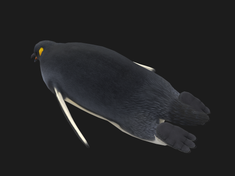 Animated penguin 3D Model