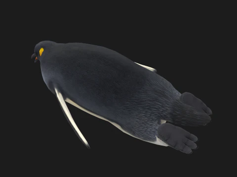 Animated penguin 3D Model