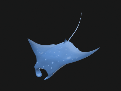 Animated manta ray Model 3D