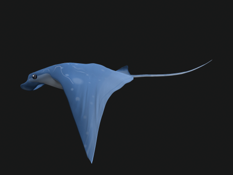 Animated manta ray Model 3D
