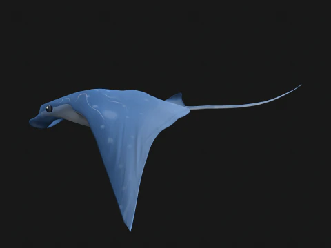 Animated manta ray 3D Model