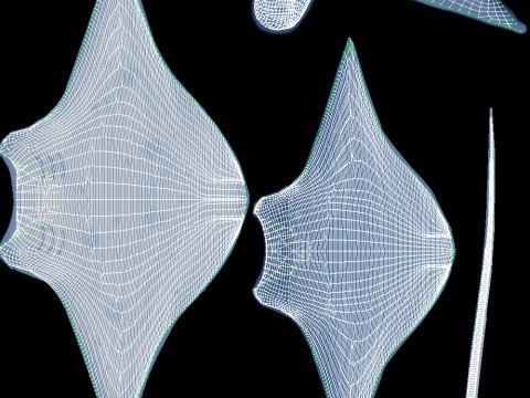 Animated manta ray Model 3D