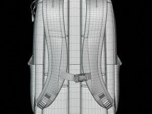 The North Face Vault 3D Model