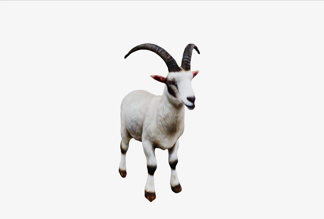 Goat 3D Model .c4d .max .obj .3ds .fbx .stl .blend 