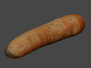 Carrot 3D Model