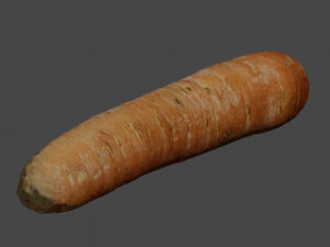 Carrot 3D Model