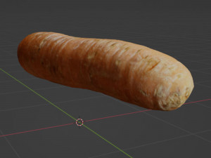 Carrot 3D Model