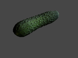 Cucumber 3D Model