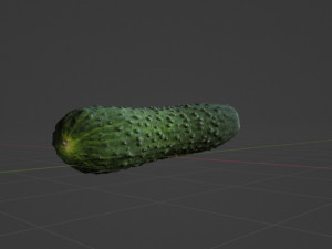Cucumber 3D Модель