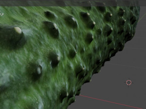 Cucumber 3D Модель