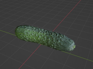 Cucumber 3D Модель