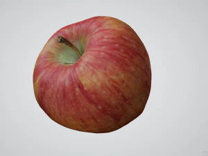 Apple 3D Model