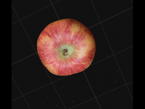 Apple 3D Модель