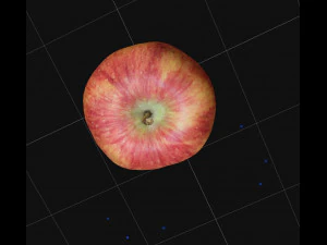 Apple 3D Model