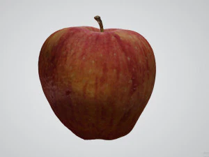 Apple 3D Model