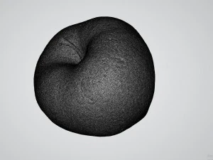 Apple 3D Model