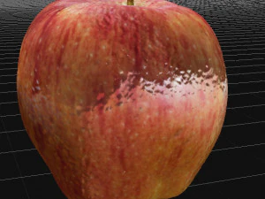 Apple 3D Model