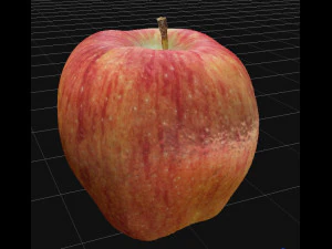 Apple 3D Model