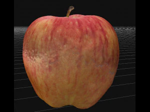 Apple 3D Model