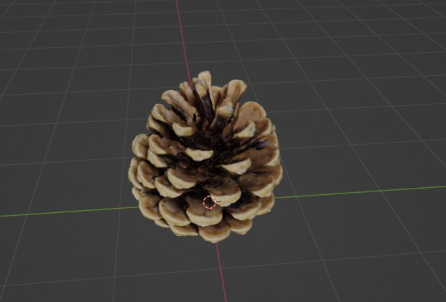Cedar cone Model 3D .c4d .max .obj .3ds .fbx .stl .blend 