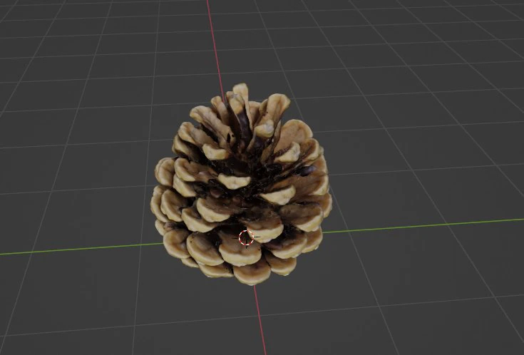 Cedar cone 3D Model .c4d .max .obj .3ds .fbx .stl .blend 
