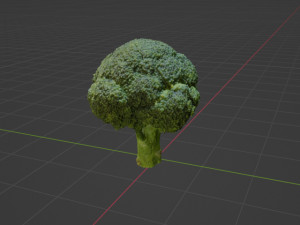 Broccoli 3Dモデル