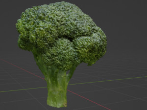 Broccoli Modèle 3D
