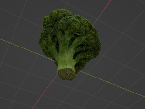 Broccoli Modèle 3D