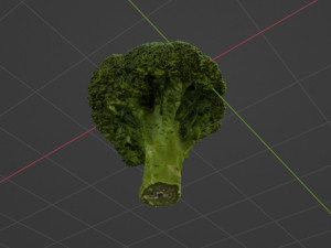 Broccoli Modèle 3D