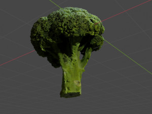 Broccoli Modèle 3D