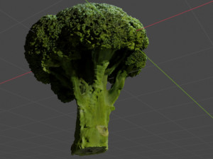 Broccoli Modèle 3D