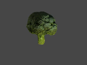Broccoli 3D Model