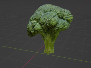 Broccoli Modèle 3D