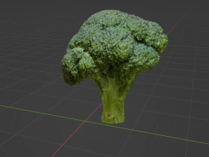 Broccoli 3D Model