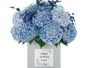 Flower box set 01 Modelo 3D