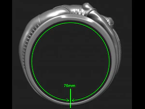 Sexy cyber ring Free 3D print model 3D Print Model