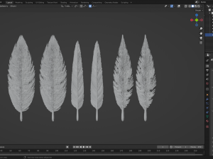 Feathers 3D 模型