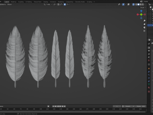 Feathers 3D 模型