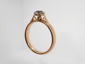 Anillo-Rings Modèle 3D