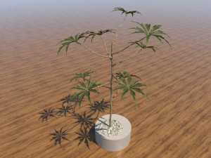 Decorative Flower Pot 3D Model