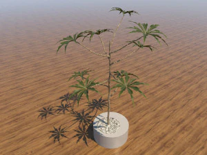 Decorative Flower Pot 3D Model