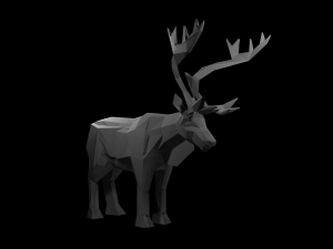 Animals Base Meshes 3D Model