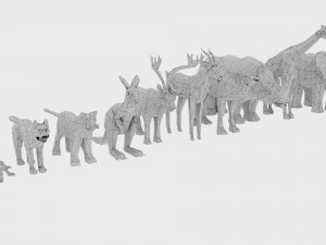 Animals Base Meshes 3D Model