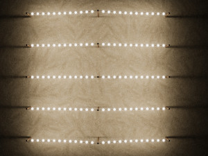 Light Bulb String 3D मॉडल