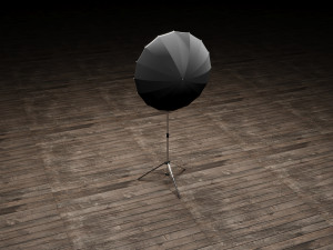 Photo Studio Umbrella Light 3D Model