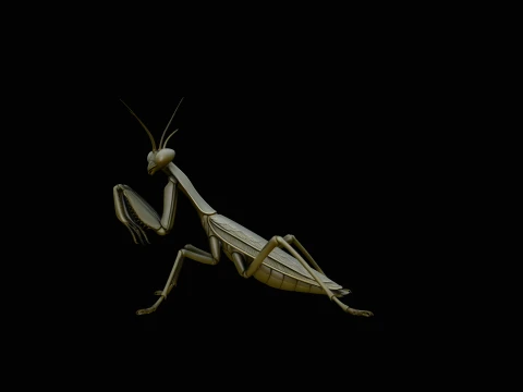 Praying Mantis Statue Design 1 - 3D Print Model 3Dプリントモデル